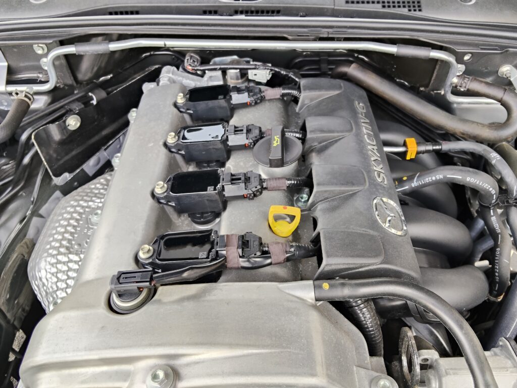 エキマニチェック